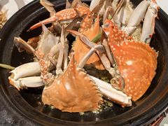 -恭喜上堓砂锅焗·海鲜大排档(闵行龙湖店)