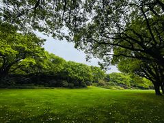 -西郊宾馆·1921餐厅