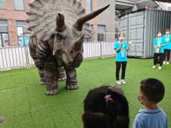 -恐龙探索乐园(磁器口店)