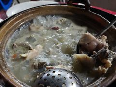 -花苑美食横琴生蚝火锅(拱北粤华路店)