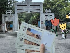 -宋井风景区