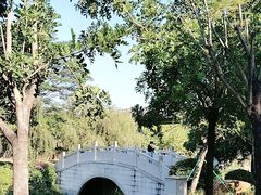 -王借岗森林公园