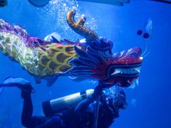 -太平洋海底世界