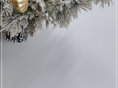 -一格照相馆(五道口店)