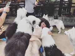 -TrueLove @ Neverland (Husky Cafe)
