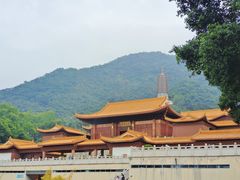 -深圳仙湖植物园