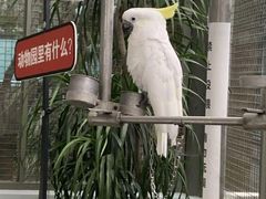 -无锡动物园·太湖欢乐园