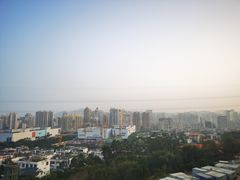 -仙岳公园