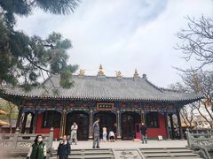 -护国法轮寺