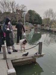 点击看大图 -玄武湖景区-情侣园游乐场