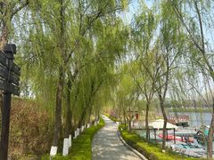 -西安汉城湖景区