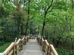 -青龙山公园