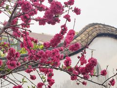 -乌山风景区
