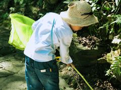 -木兰云雾山