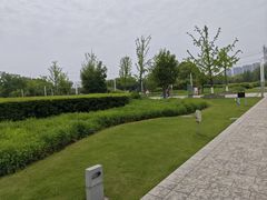 -九里河湿地公园