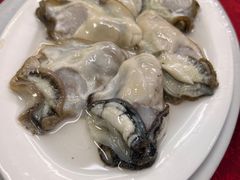 生蚝-花苑美食横琴生蚝火锅(拱北粤华路店)
