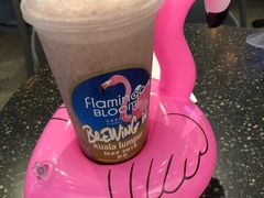 -Flamingo Bloom(TST /尖沙咀店)