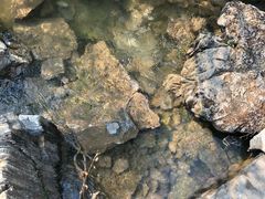 -大平台龙居瀑布旅游区