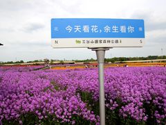 -江苏三台山国家森林公园