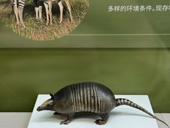 -国家自然博物馆