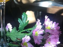 -Apollo·西班牙小酒馆(安福路店)
