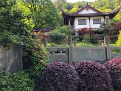 -十八棵（老龙井）御茶园(老龙井店)