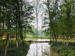 -桤木河湿地公园