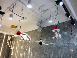 -Tipo Hair salon（明星）店