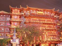 -越秀西湖花市(广州城市广场花卉店)