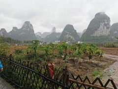 -明仕田园