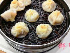 小笼包-阊门姚记豆浆(旧学前直营店)