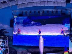 -海合安武汉极地海洋公园