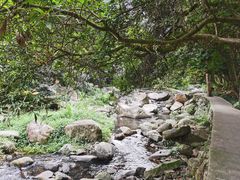-福清灵石山国家森林公园