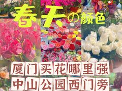 -溪岸路花鸟市场