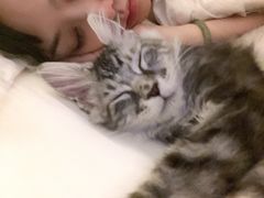 -美联众合动物医院·24h京西诊疗中心