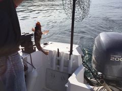 -Steveston Pizza Company (Richmond)