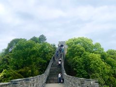 -黄贤森林公园