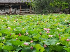 -东坡赤壁风景名胜区