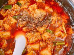 -陈麻婆豆腐总店
