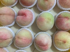 -老袁家蜜桃农场·阳山水蜜桃