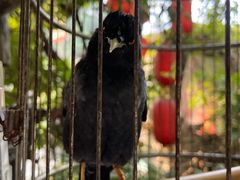 -五邑人家(江门店)