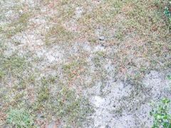 -北海金海湾红树林生态旅游区