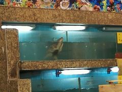 -荔枝楼酒家(员村东璟店)