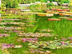 -国家植物园南园