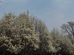 -睦南公园