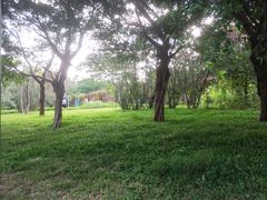 -福田红树林生态公园