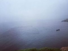 -枸杞岛