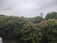 -武汉荟聚