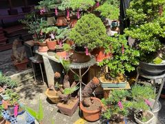 -梅陇花鸟市场-停车场