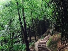 -川西竹海景区